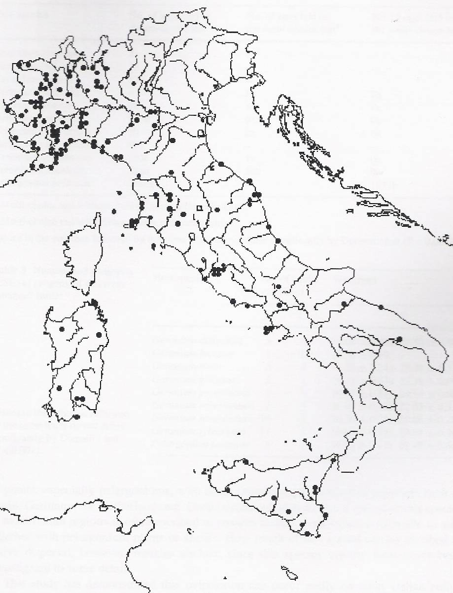 Cartina Italia Politica Da Colorare Wrocawski Informator Internetowy