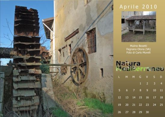 Calendario 2010 di Natura Mediterraneo