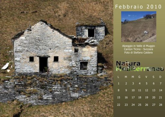 Calendario 2010 di Natura Mediterraneo
