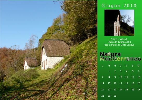 Calendario 2010 di Natura Mediterraneo