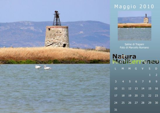 Calendario 2010 di Natura Mediterraneo