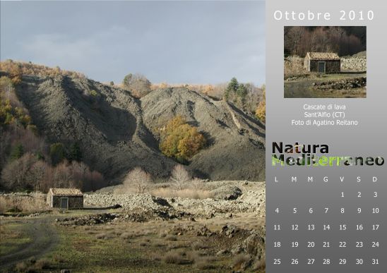 Calendario 2010 di Natura Mediterraneo