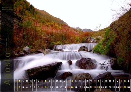 Calendario NM 2015
