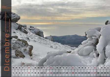 Calendario NM 2015