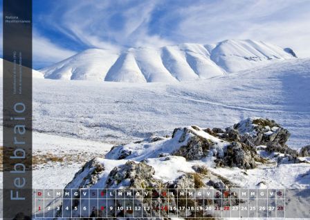 Calendario NM 2015