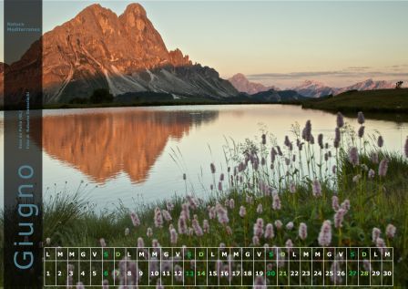 Calendario NM 2015