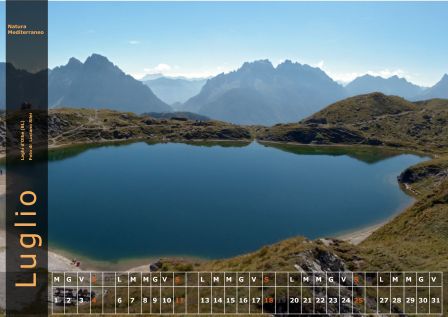 Calendario NM 2015