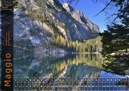 Calendario NM 2015