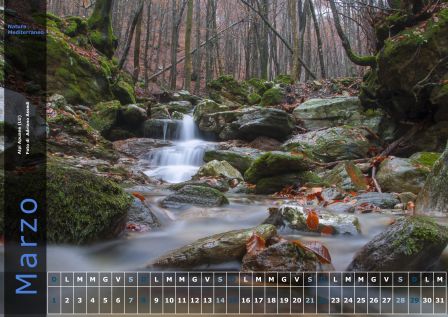 Calendario NM 2015