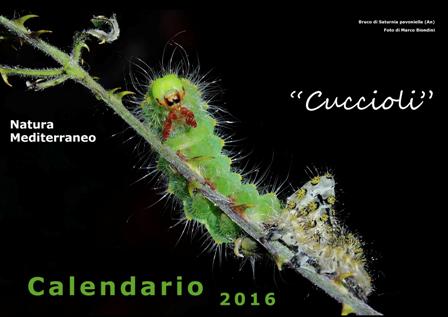 Calendario Natura Mediterraneo 2016
