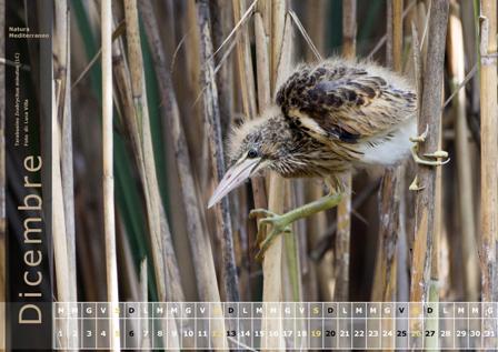 Calendario Natura Mediterraneo 2016