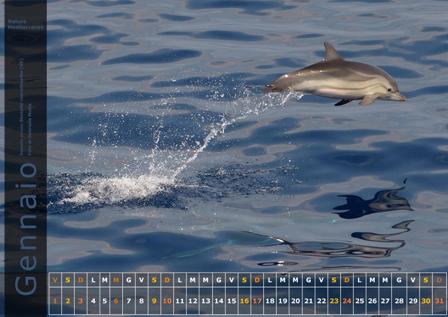 Calendario Natura Mediterraneo 2016