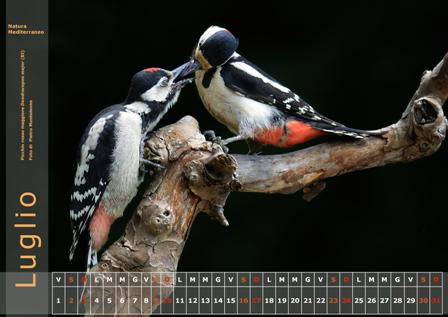 Calendario Natura Mediterraneo 2016