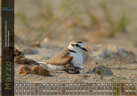 Calendario Natura Mediterraneo 2016