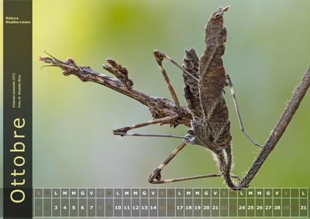 Calendario Natura Mediterraneo 2016