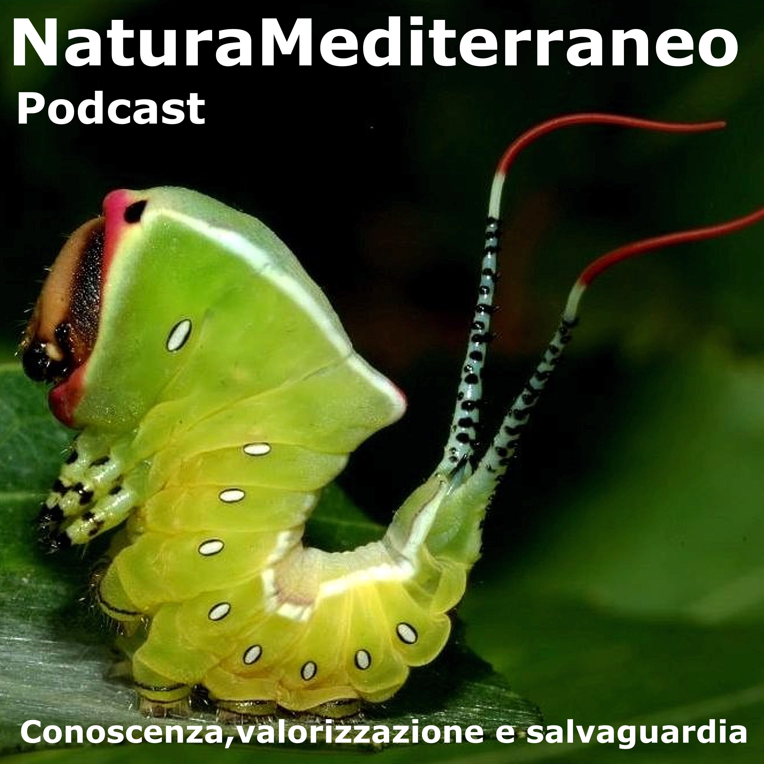 Natura Mediterraneo Podcast