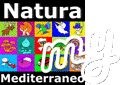 Nuova funzione My NM - Leggi i post con tutta calma!