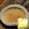 IL MONDO DEI FUNGHI