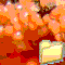 MYXOMYCETI