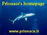 Prionace.it
