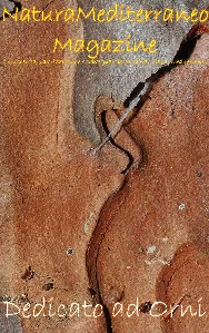  Natura Mediterraneo Magazine