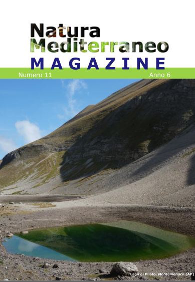 Natura Mediterraneo Magazine 11