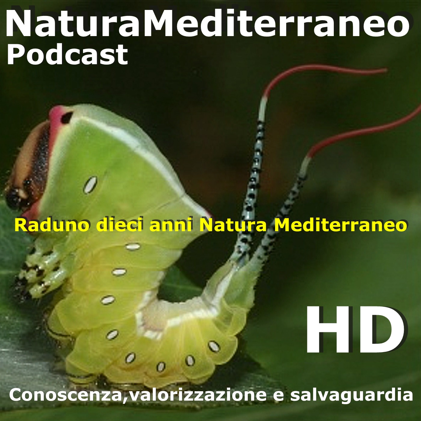 Raduno Parco Nazionale d'Abruzzo NaturaMediterraneo