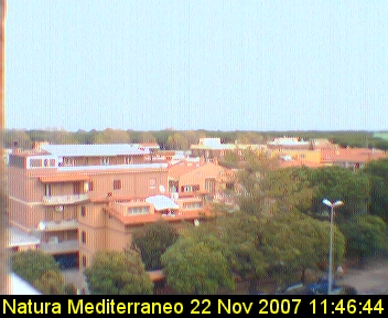 Webcam Riserva del Litorale Romano Rome Italy - Webcams Abroad live images