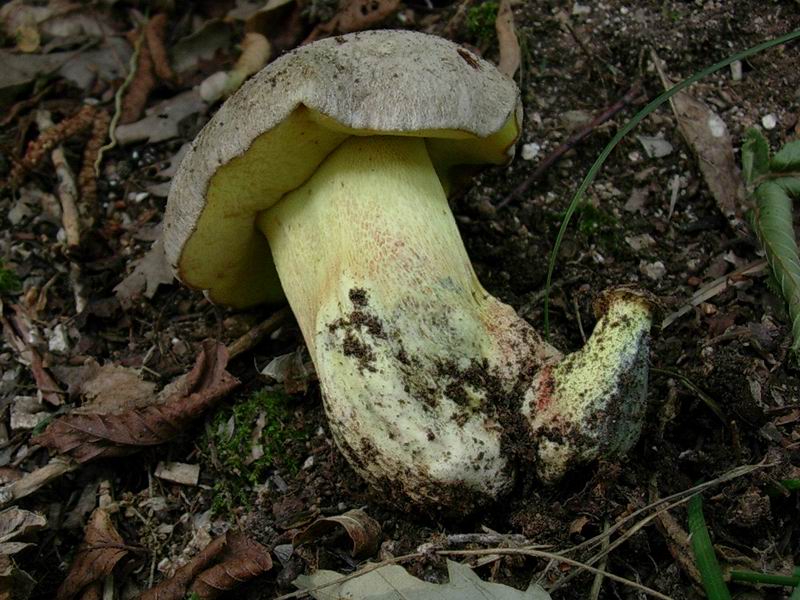 alcuni ritrovamenti 01.07.05