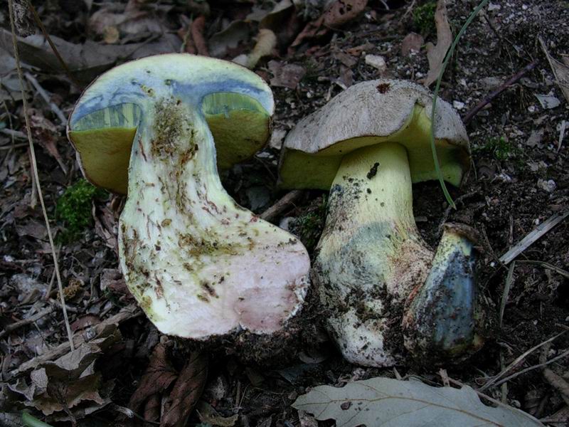 alcuni ritrovamenti 01.07.05