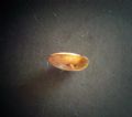 Caracollina(Caracollina)&nbsp;lenticula