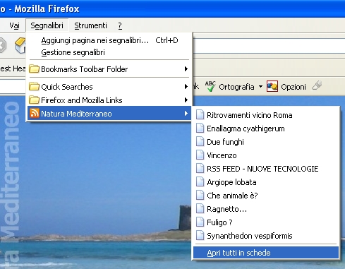 RSS FEED - NUOVE TECNOLOGIE