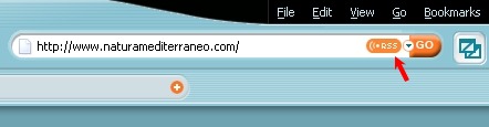 RSS FEED - NUOVE TECNOLOGIE