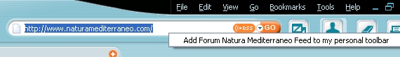 RSS FEED - NUOVE TECNOLOGIE