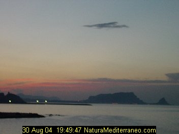 Vai a Naturamediterraneo.com 