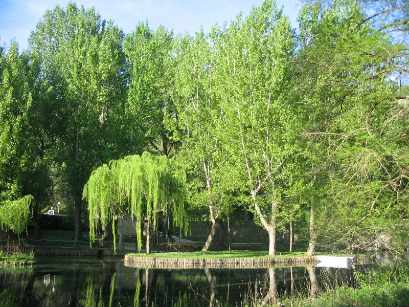 Le fonti del Clitunno (Pg)