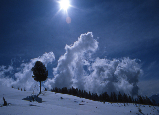 ......libert�.............................