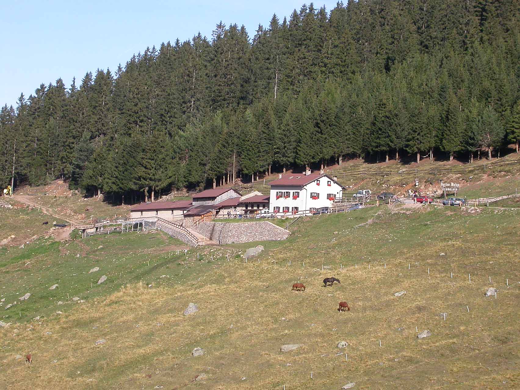 Cartoline dal Trentino