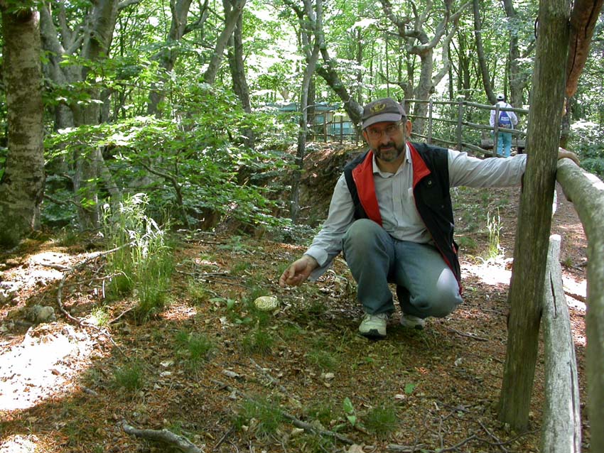 In faggeta il 28 maggio 2005