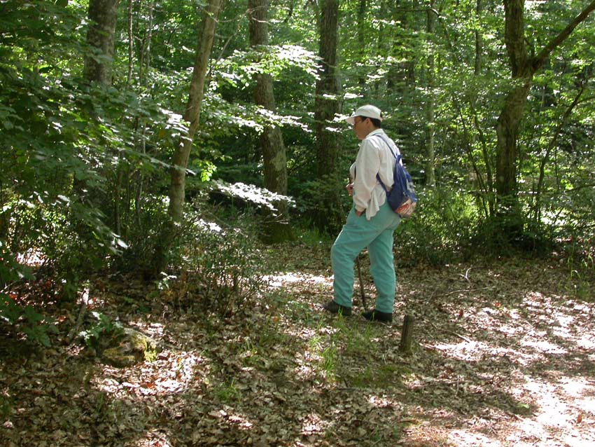 In faggeta il 28 maggio 2005