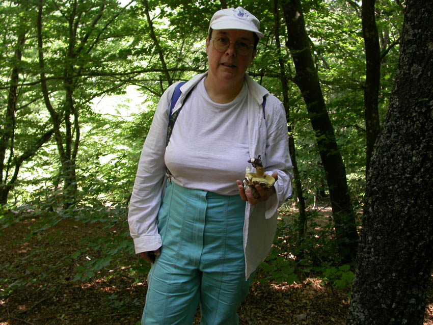 In faggeta il 28 maggio 2005