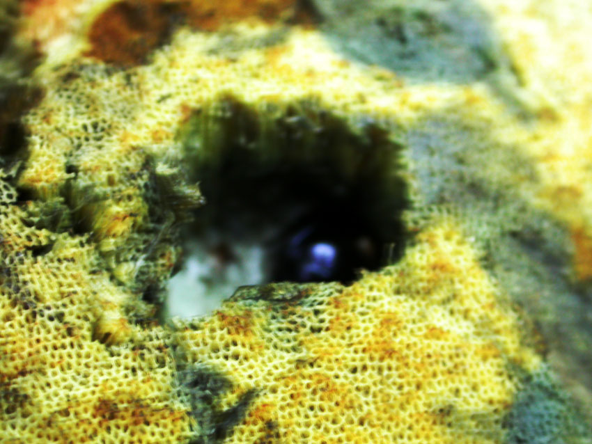 In faggeta il 28 maggio 2005