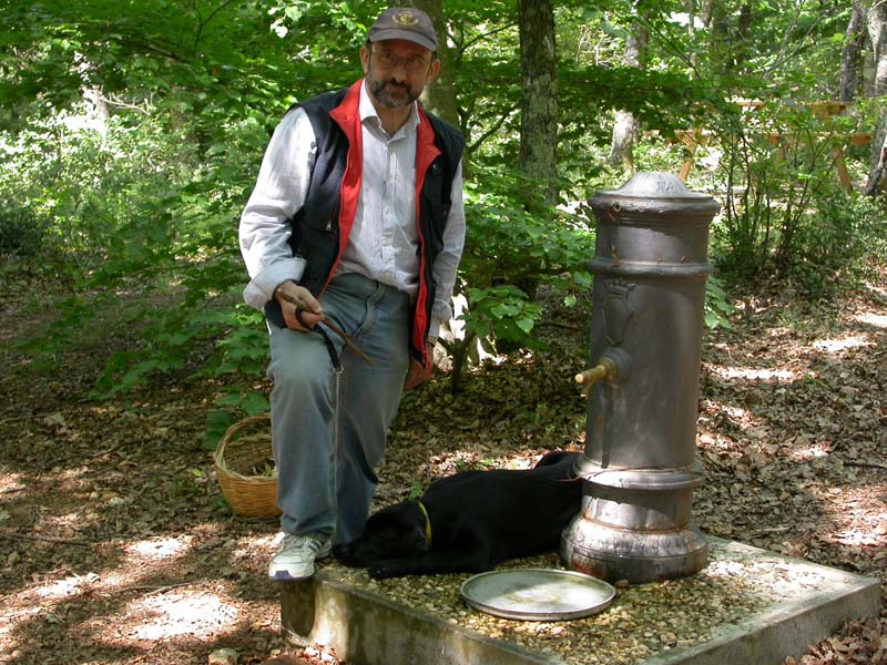 In faggeta il 28 maggio 2005