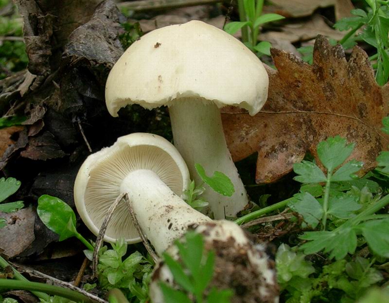 Ritrovamenti del 20.04.05