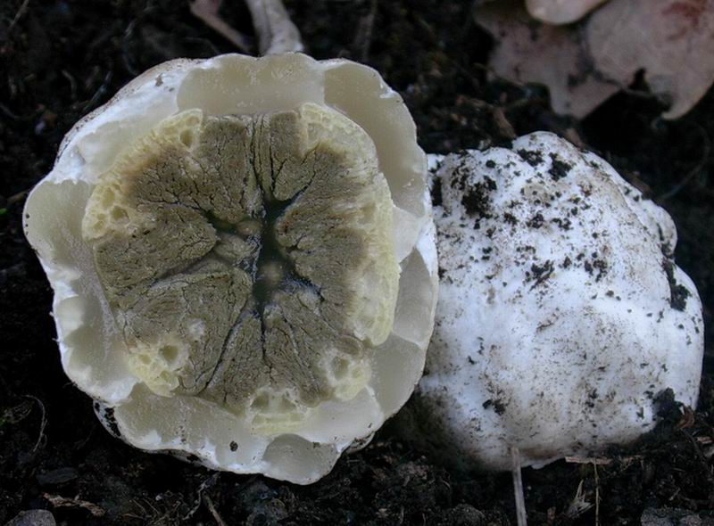 Ritrovamenti del 20.04.05