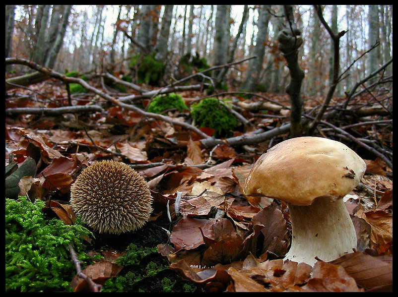 quello che ho incontrato sabato 6/11 e altro