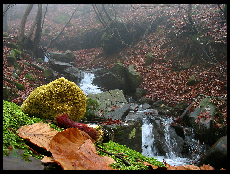 quello che ho incontrato sabato 6/11 e altro