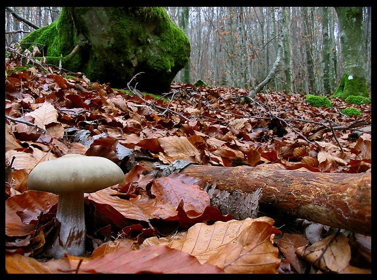 quello che ho incontrato sabato 6/11 e altro