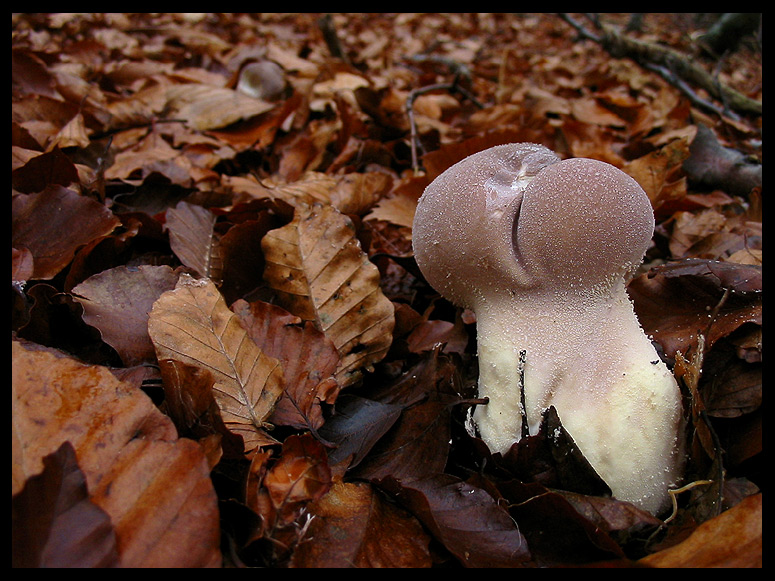 quello che ho incontrato sabato 6/11 e altro