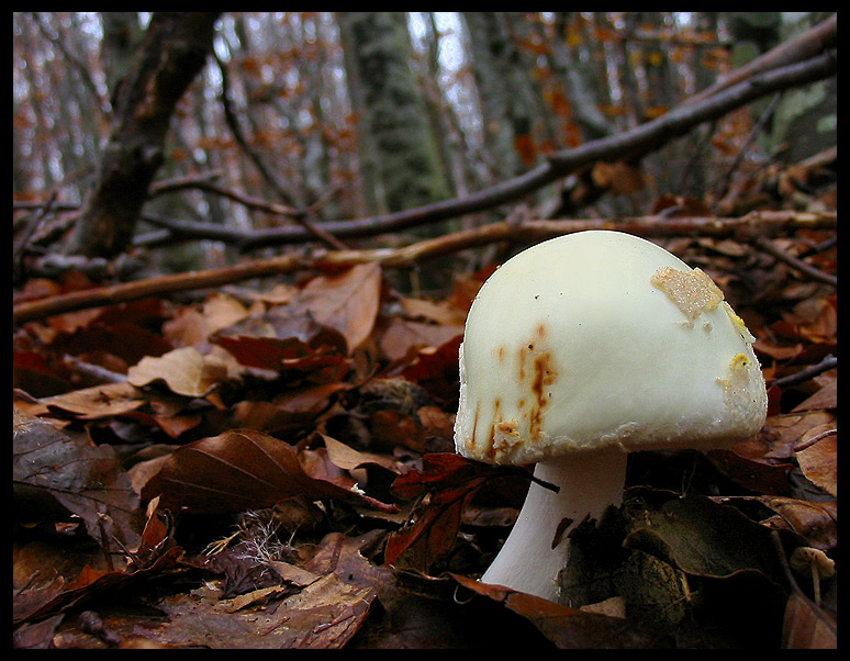 quello che ho incontrato sabato 6/11 e altro